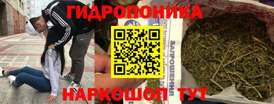 индика Ливны