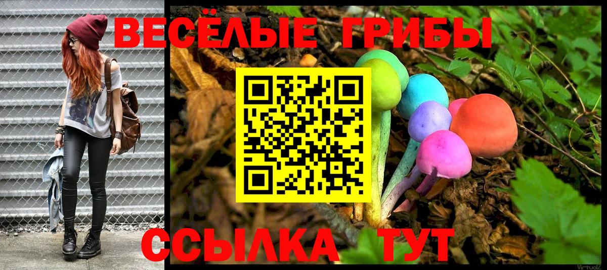 Северобайкальск  как найти   Галлюциногенные грибы мухоморы  Вход с VPN  Галлюциногенные грибы Cubensis 
